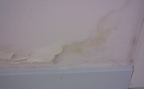 衛(wèi)生間漏水,有沒(méi)有不砸磚的解決辦法?老師傅來(lái)告訴你答案 衛(wèi)生間漏水,有沒(méi)有不砸磚的解決辦法?老師傅來(lái)告訴你答案